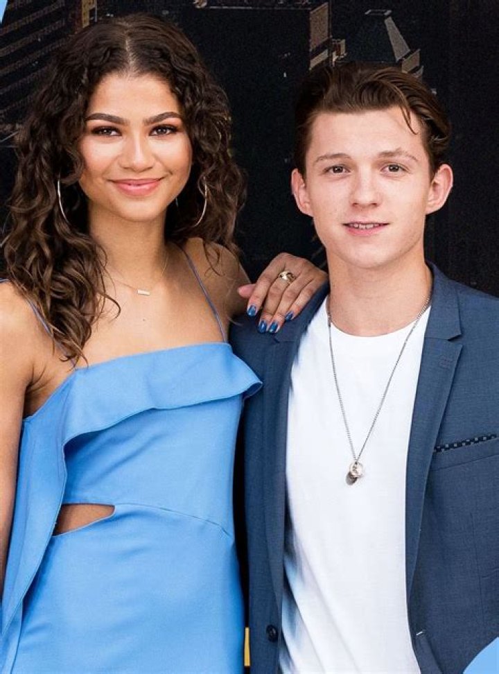 Zendaya Assault Rumor Debunked And Explored